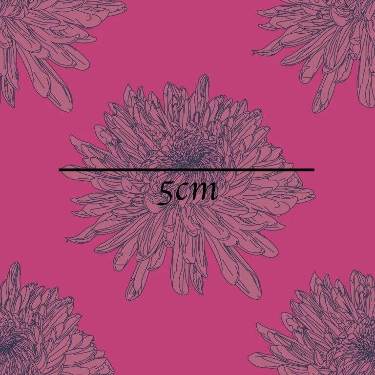 Chrysanthemum_HotPink_12-768x768.jpg