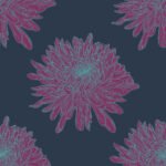 Pre-Order Chrysanthemum Magenta
