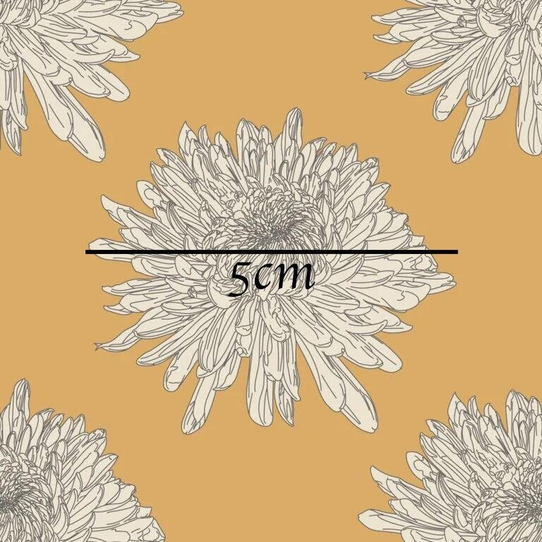 Chrysanthemum_Mustard_12-768x768.jpg