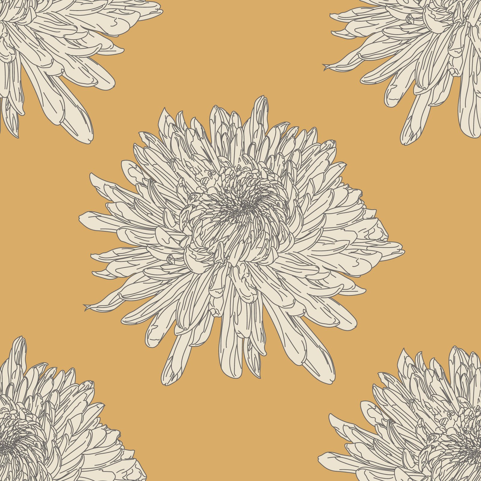 Chrysanthemum_Mustard_12.jpg