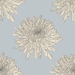 Pre-Order Chrysanthemum Powder
