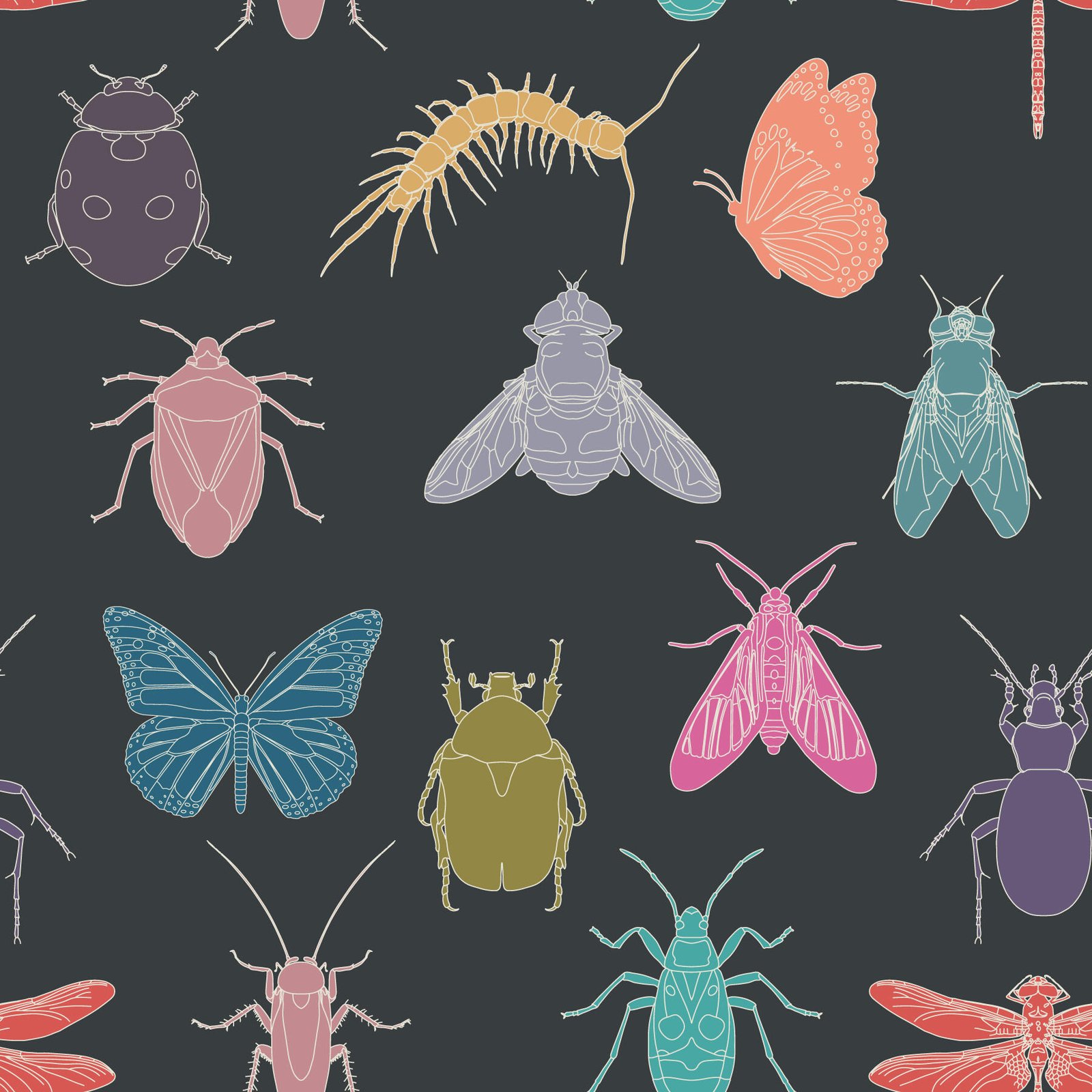 Creepy_Crawlies_Grey.jpg