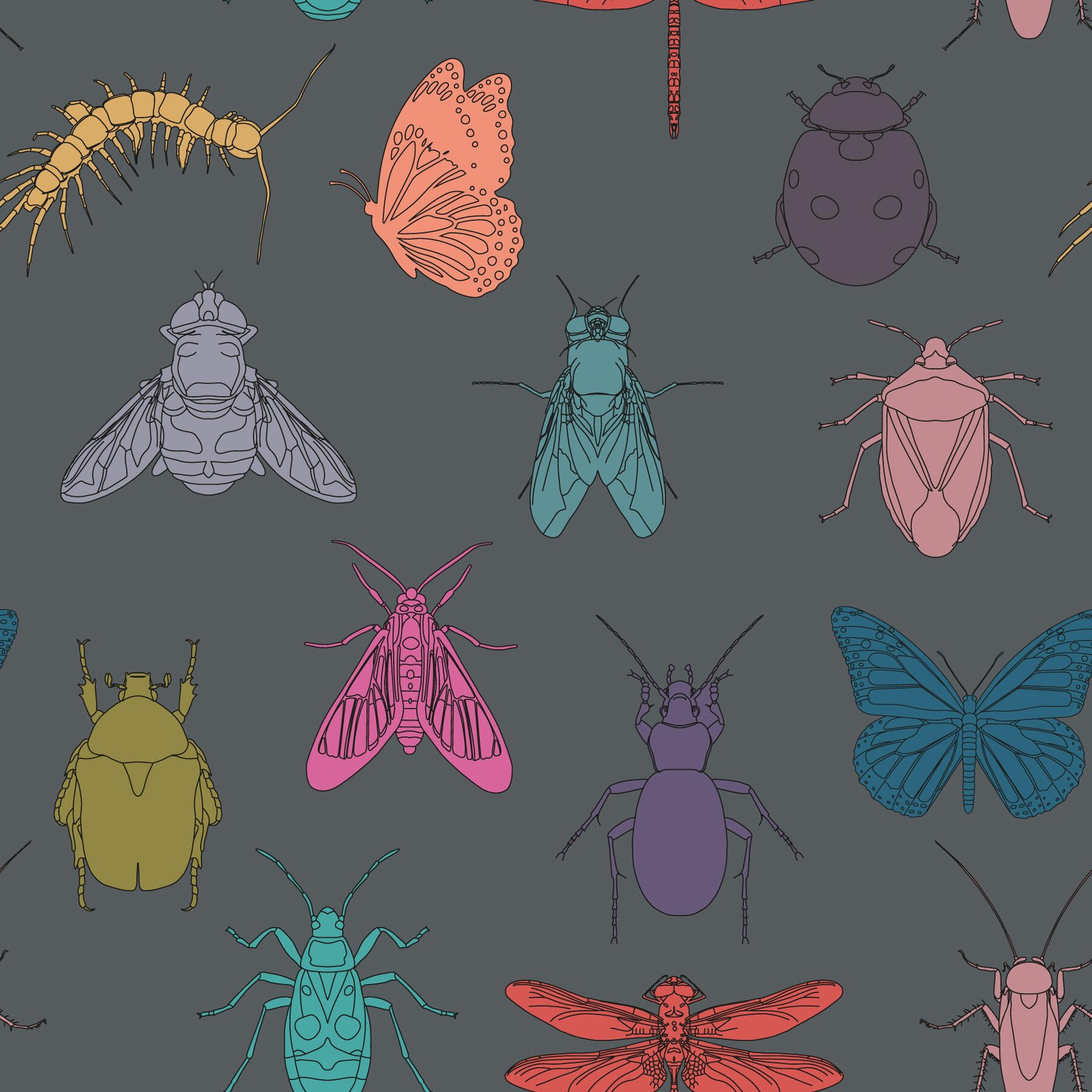 Creepy_Crawlies_MidGrey.jpg