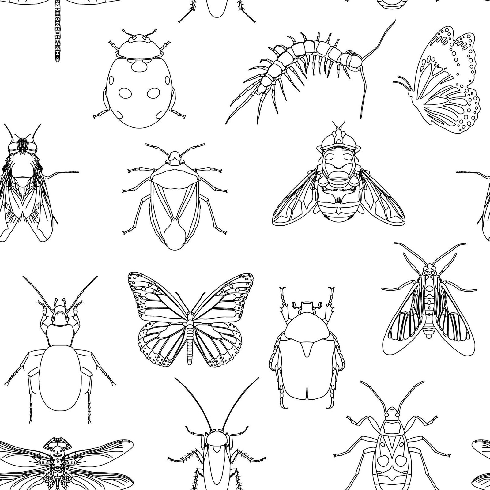 Creepy_Crawlies_White.jpg