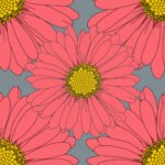 Pre-Order Daisy