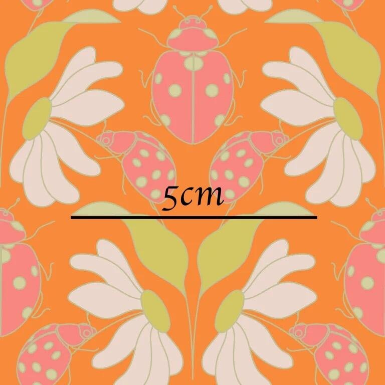 Daisy__Ladybird_Tangerine_2-768x768.jpg