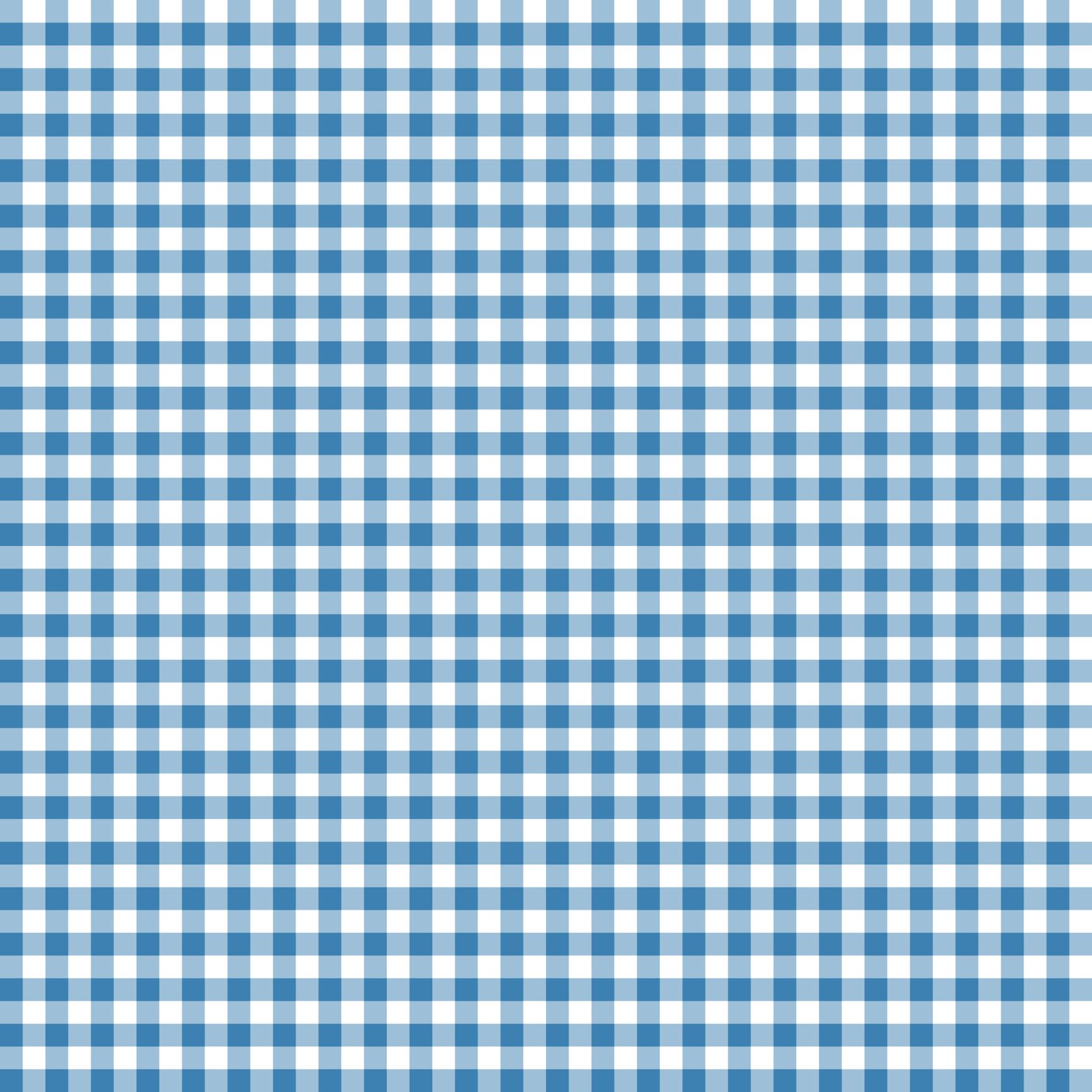 Denim-Small-Gingham.jpg