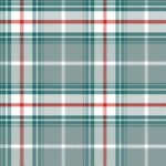 Pre-Order Plaid Revival Festive Plaid Christmas Plaid