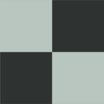 Pre-Order Halloween Classic Gingham Checks Farmhouse Cottage Coquette Dorm Black Sage