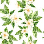 Pre-Order Oranges Leaves Garland Floral Watercolor Botanical Design