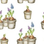 Pre-Order Garden Pots With Hyacinths