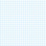 Pre-Order Powder Blue Small Gingham