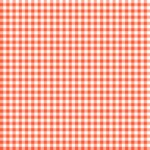 Pre-Order Coral Red Small Gingham