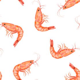 Pre-Order Watercolor Shrimps Scattered on White