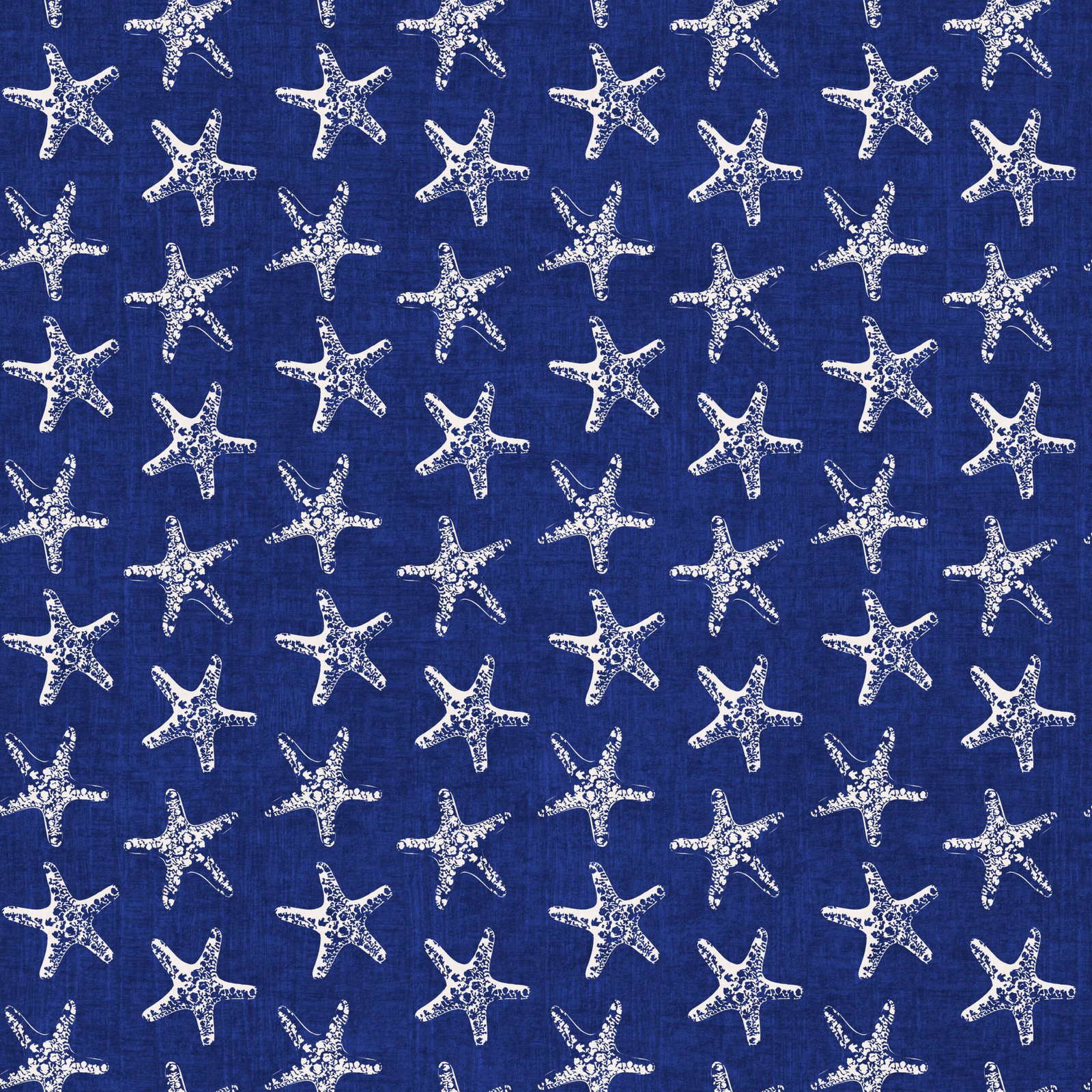 Small-Starfish-Coastal-Retro-Summer-WhiteBlue.jpg