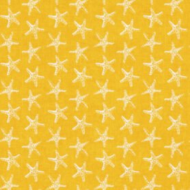 Pre-Order Small Starfish Coastal Retro Summer Yellow White