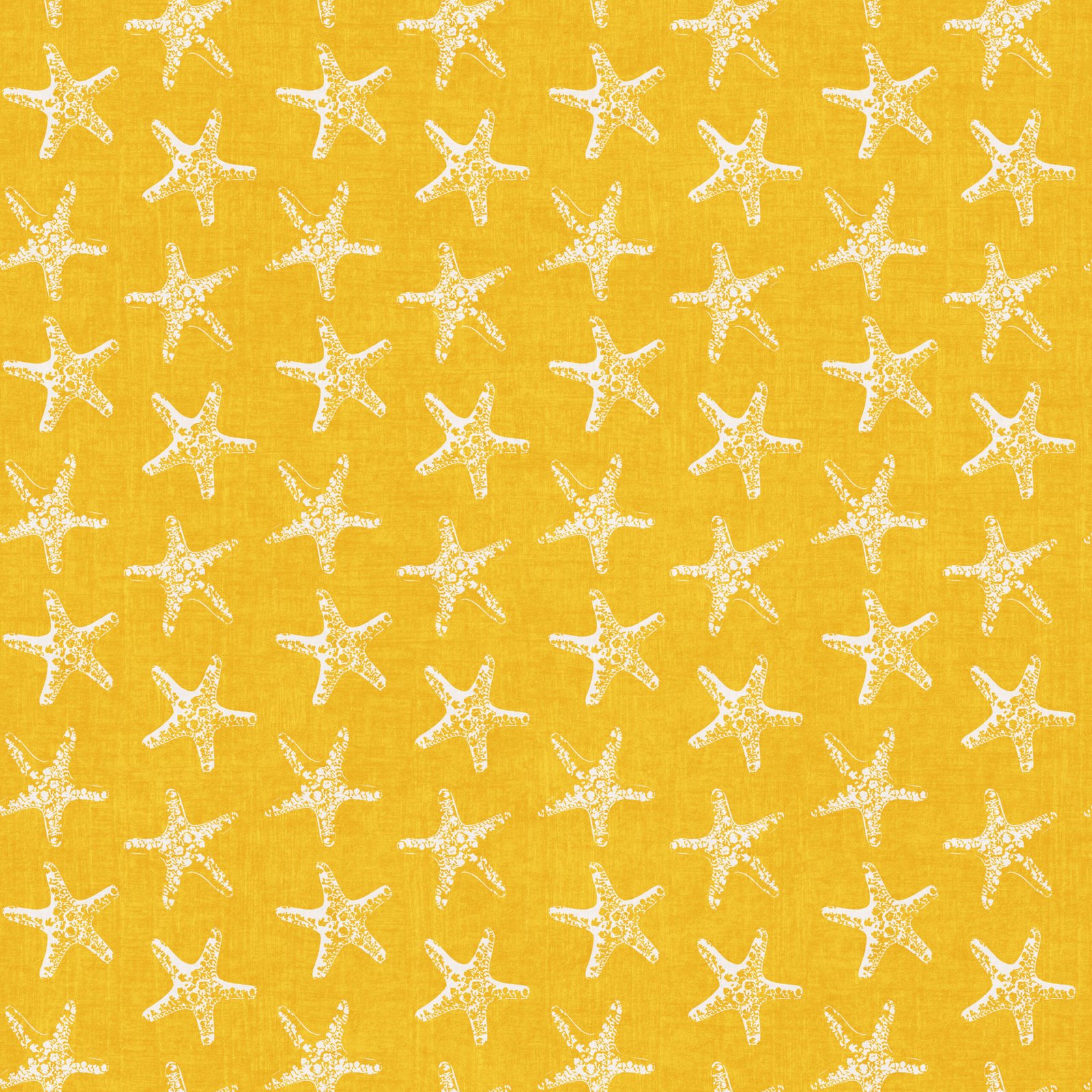 Small-Starfish-Coastal-Retro-Summer-YellowWhite.jpg