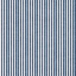 Pre-Order Summer Cabana Stripes Blue