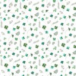 Pre-Order Clover