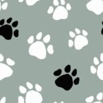 Pre-Order Dog Paw Prints Silhouettes Wild Cat Tracks Gray White Black