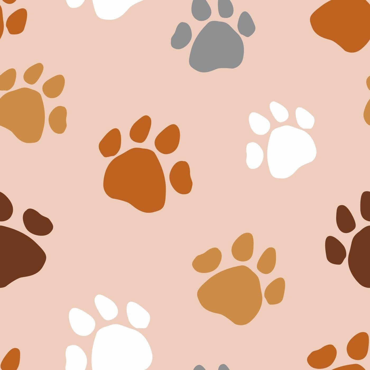 paw-prints-multicolored-blush-rapport-300ppp-1400px.jpg