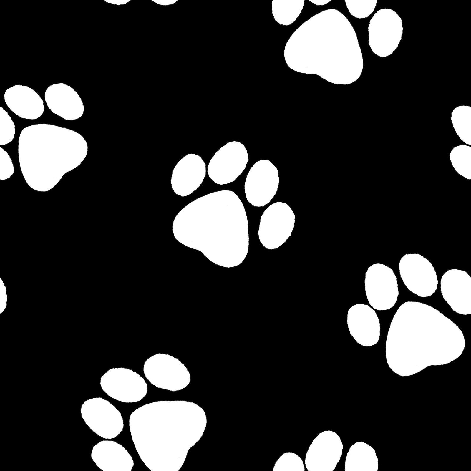 paws-30-chb.jpg