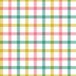 Pre-Order Colorful Spring Gingham