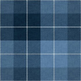 Pre-Order Blue Neptune Buffalo Plaid