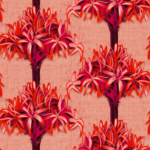 Pre-Order Gymea Gorgeousness
