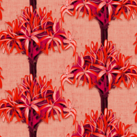 Pre-Order Gymea Gorgeousness