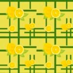 Pre-Order Laddered Lemon