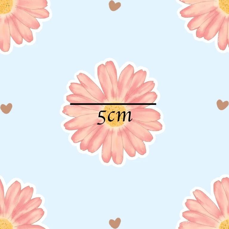 L-Light-peach-aster-with-light-brown-tiny-hearts-in-between-768x768.png