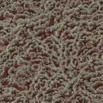Pre-Order Cloud of Spruce Verdant Woodland Texture Rust