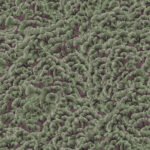 Pre-Order Cloud of Spruce Verdant Woodland Texture Pink and Green