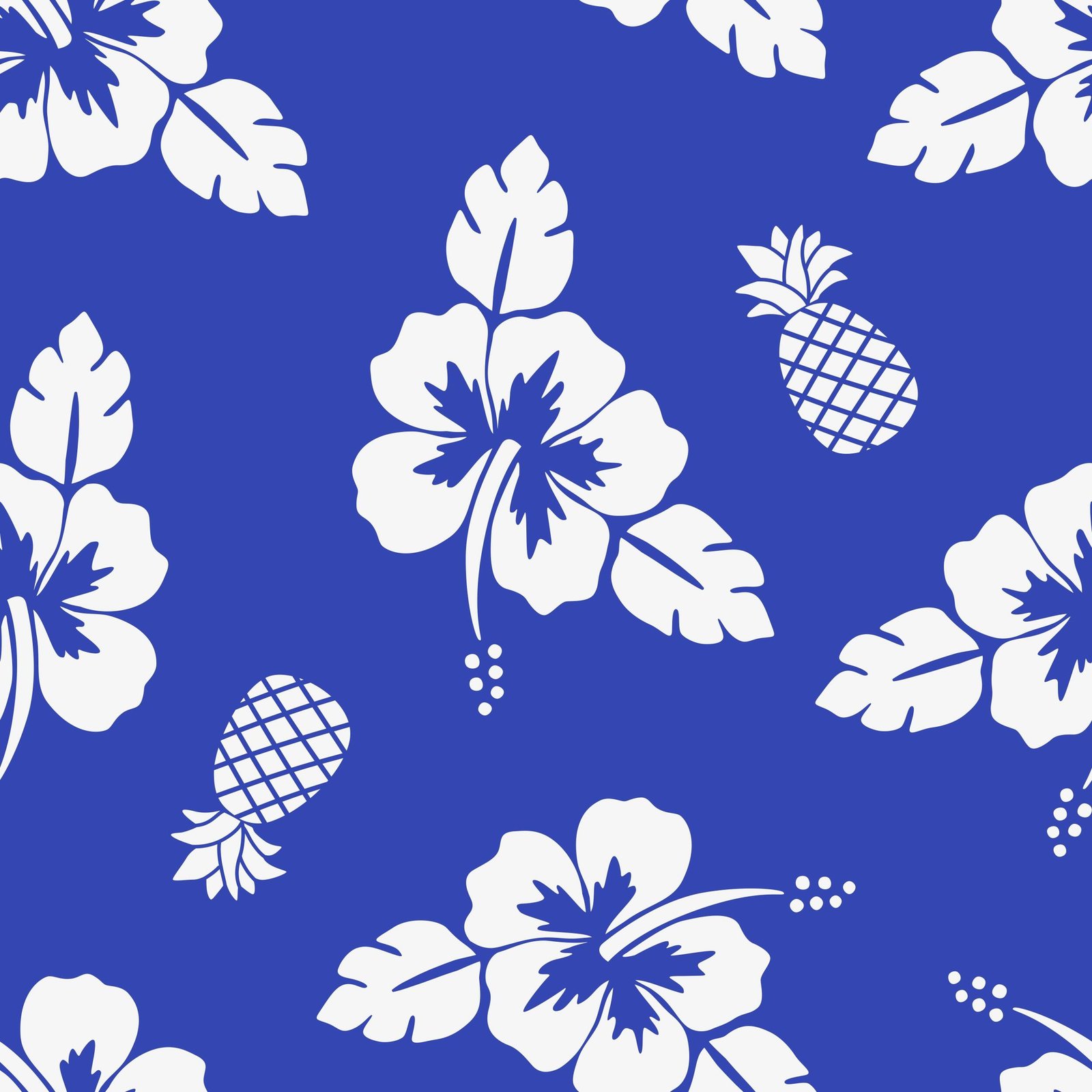 hibiscus-blue-white-rapport-300ppp-2500px.jpg
