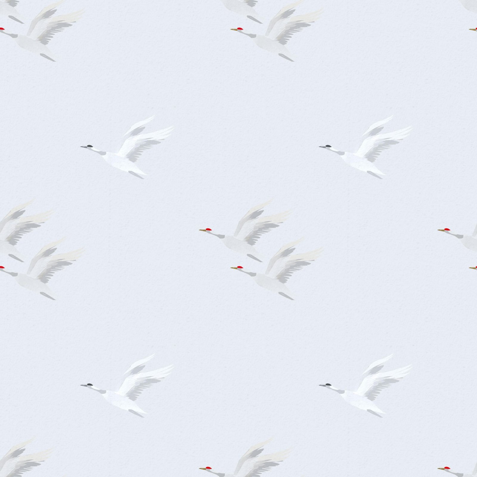 Untitled1180_20260707171941.jpg
