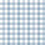 Pre-Order Wild West Gingham Blue
