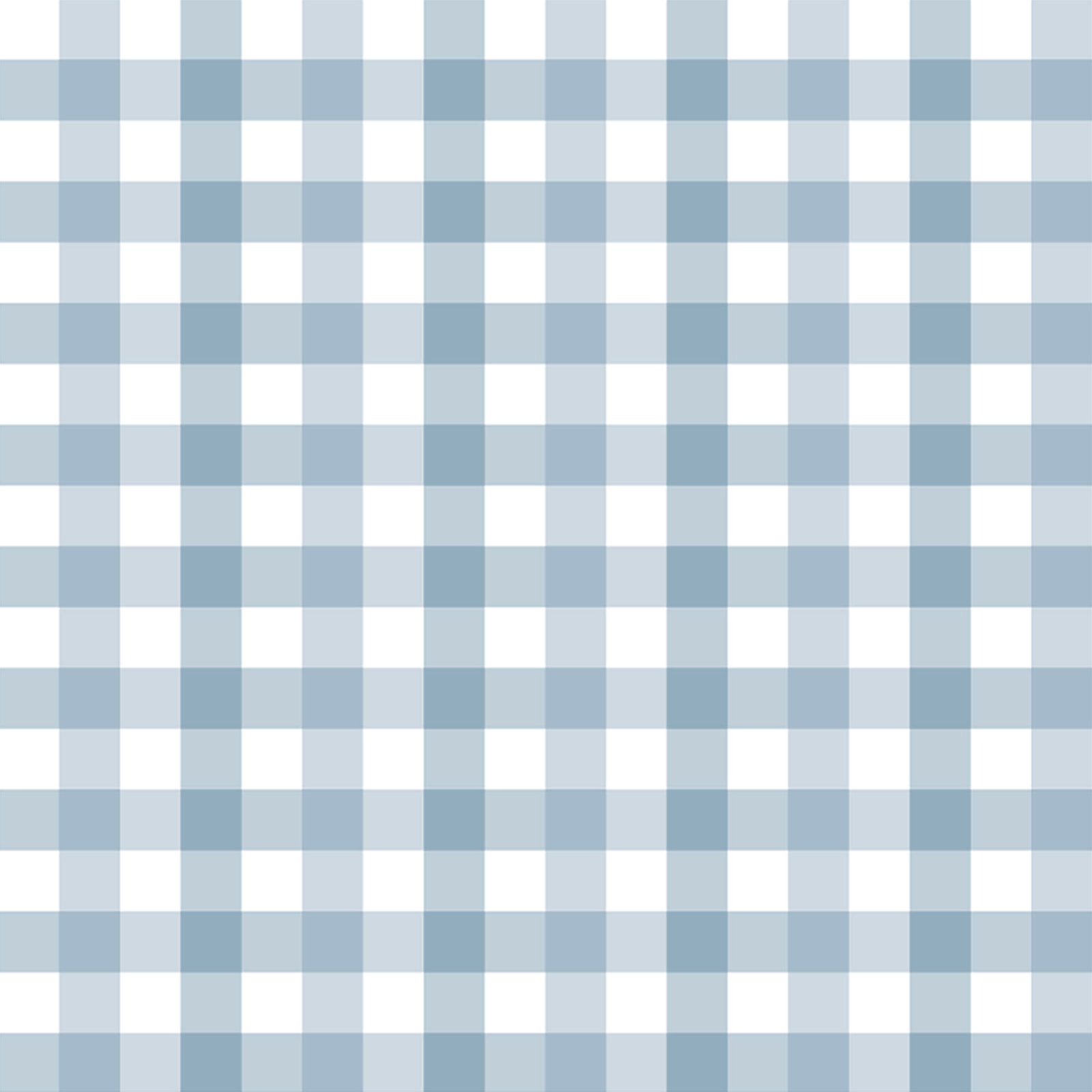 Wild West Gingham