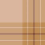 Pre-Order Cosy Carmel Plaid Tartan Medium