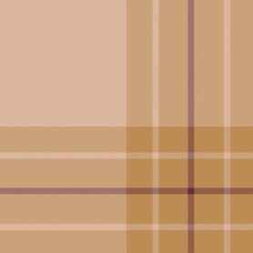 Pre-Order Cosy Carmel Plaid Tartan Medium